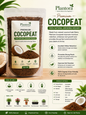 Premium Cocopeat (250 GM) | Organic Growing Medium for Healthy Root Growth
