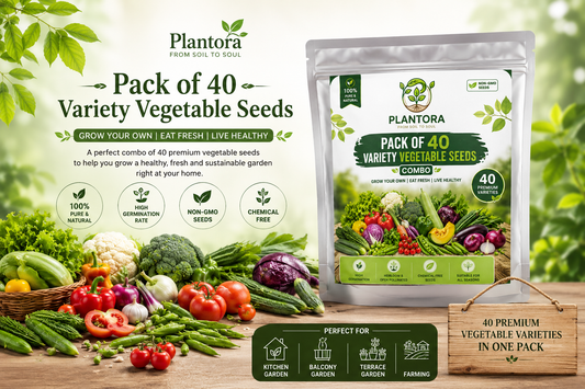Pack of 40 Premium Vegetable Seeds Combo | High Germination Non-GMO Seeds for Kitchen Garden